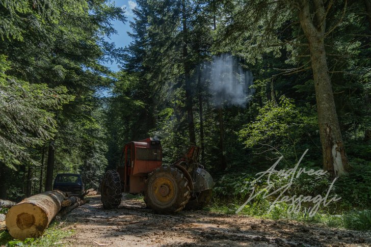 nuvole di deforestazione; bosco bosnia deforestation deforestazione fog fumo log logging ruspa smog taglio tractor trattore tronchi woodland